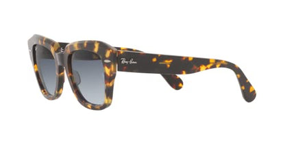 Ray-Ban Mens 0RB2186 Sunglasses