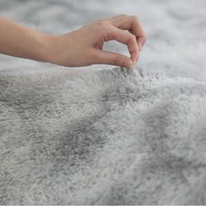 Tinyboy-hbq Area Rugs Shaggy Carpet for Living Room Bedroom Large Fluffy Carpet Modern Non-Slip Mat Multisize Rug Indoor Home Decor (Gray White, 80 x 120 cm)