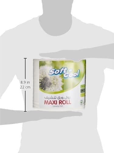 Soft N Cool Eco-Friendly High Absorbency Kitchen Maxi Roll Tissue, 1Ply x 300meter