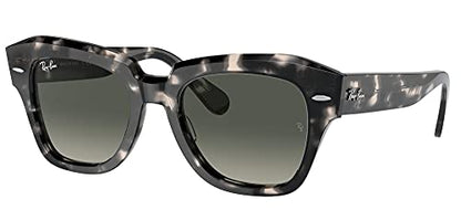 Ray-Ban Mens 0RB2186 Sunglasses