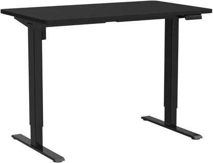 FLEXISPOT E1 Height Adjustable Electric Standing Desk with Desktop Two-Stage Heavy Duty Steel Stand up (Black Frame+ Black Desktop)