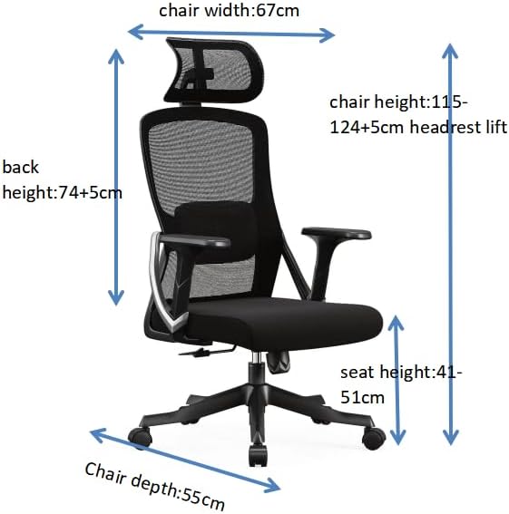 LANNY Home Executive Office Chair Ergonomic Computer Chair Wide Seat With Large Headrest, Modern Desk Chair Lumbar Support, Adjustable Armrests Mesh Chair