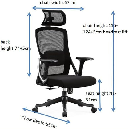 LANNY Home Executive Office Chair Ergonomic Computer Chair Wide Seat With Large Headrest, Modern Desk Chair Lumbar Support, Adjustable Armrests Mesh Chair