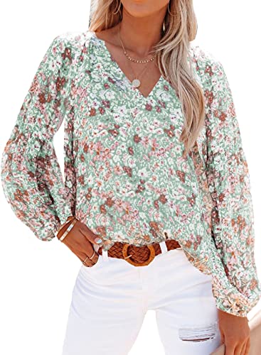 Womens Floral Long Sleeve Chiffon Blouses Fashion 2022 Long Sleeve V Neck Loose Casual Floral Printed Chiffon Blouses Tops and T Shirts Office Wear Fall Winter