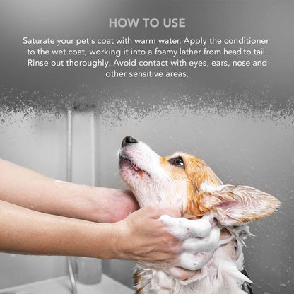 Wahl Mucky Puppy Shampoo, Dog Shampoo, Shampoo for Pets, Gentle Pet Friendly Formula, Sensitive Skin, Shampoo for Young Animals, Ready-to-Use, Remove Dirt.