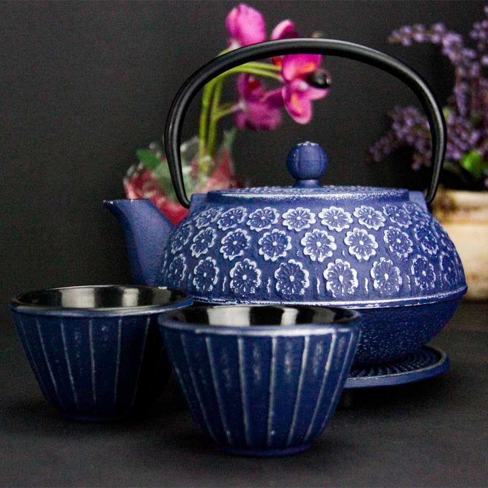 Durable Blue Cast Iron Teapot Gift Set with Teapot with Loose Leaf Tea Infuser 2 cups and Teapot Triver