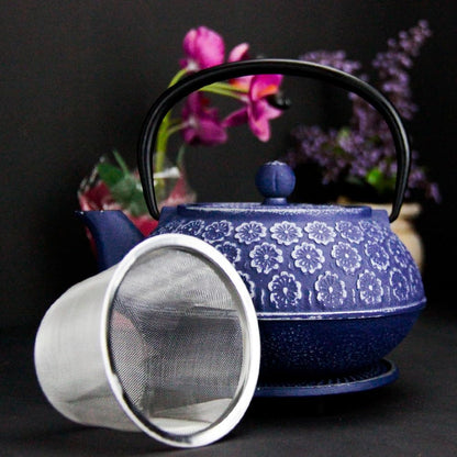 Durable Blue Cast Iron Teapot Gift Set with Teapot with Loose Leaf Tea Infuser 2 cups and Teapot Triver