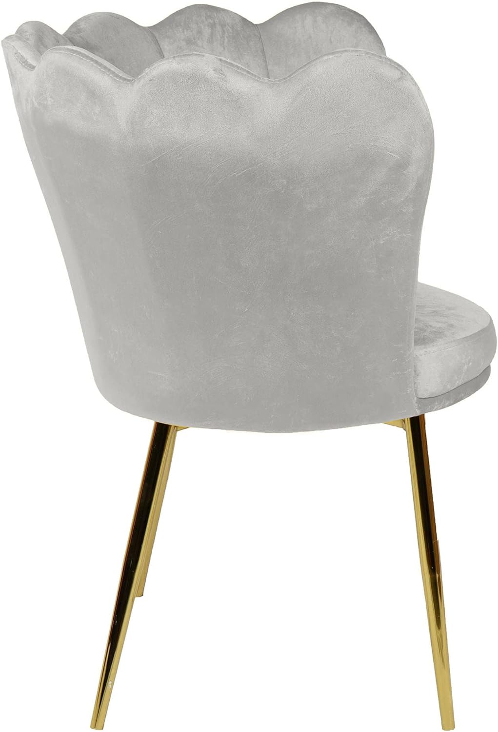 Angela - Flower Design Velvet Visitors Chair Living Room Chair (Beige)