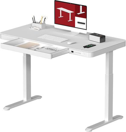 FLEXISPOT Electric Height Adjustable Standing Desk with Drawer 48 x 24 Inches Natural Desktop & Adjustable White Frame Quick Install Computer Workstation (USB Charge Ports, Memory Controller)