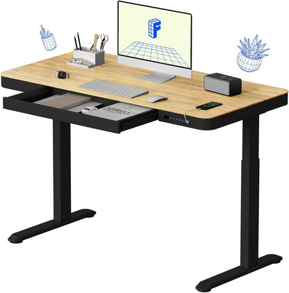 FLEXISPOT Electric Standing Desk, Height Adjustable Desk with Drawer 48 x 24 Inches White Desktop & Adjustable White Frame Quick Install Computer Workstation (USB Charge Ports, 4 Persets)