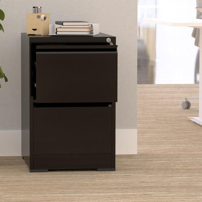 Mahmayi Godrej OEM File Cabinet with Lock Large Storage steel Cabinet, Metal Portable Cabinet with 4 Drawer, Vertical File Cabinet, 4 Layer Cabinet Office Storage Cabinet (2 Drawer, Black)