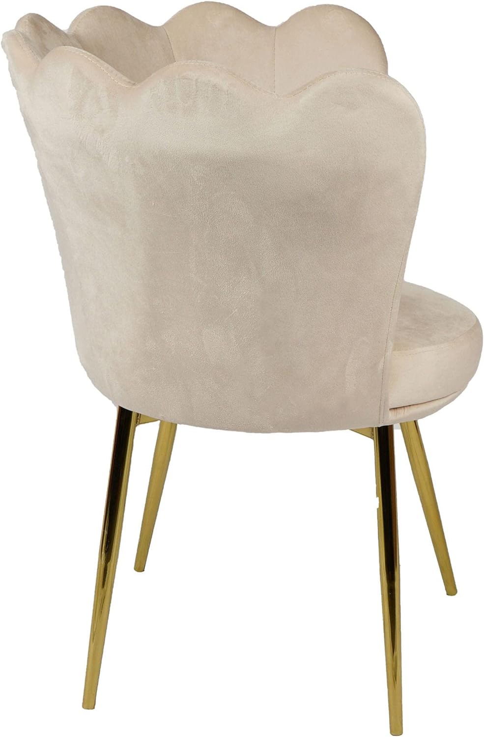 Angela - Flower Design Velvet Visitors Chair Living Room Chair (Beige)