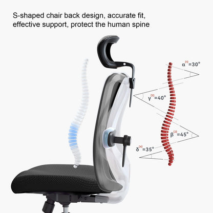 SIHOO M18 Ergonomic Office Chair, Computer High Back Desk Chair with 2D Armrest, Adjustable Headrest, Lumbar Support and Comfortable Thick Cushion.(Black)