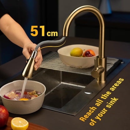 DAYONE Chrome Kitchen Faucet with Pull Down Sprayer, Single Handle Kitchen Mixer with 3 Water Modes Stainless Steel Kitchen Taps