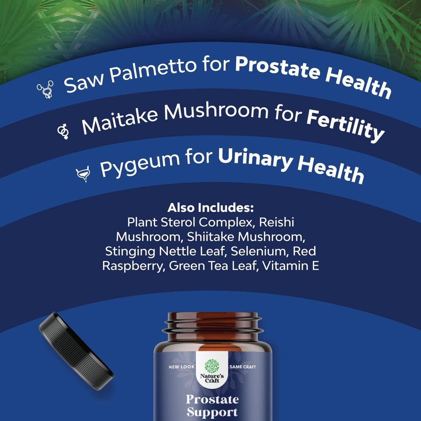 Natural Prostate Support Health Supplement Pure Extract Pills Formula Saw Palmetto Extract Capsules Plant Sterol Complex Urinary System Boost Vitamins Hair Growth for Men by Natures Craft