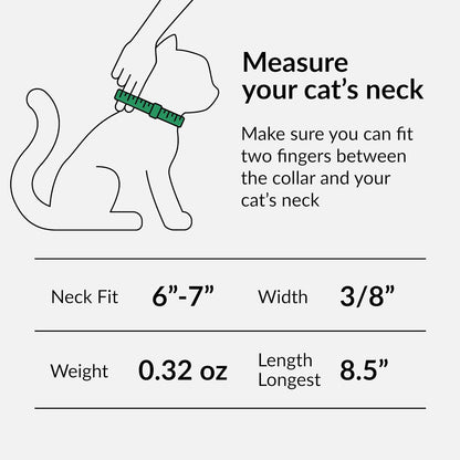 CollarDirect Leather Cat Collar with Elastic Safety Strap and Bell for Boy, Girl, Kitten (Neck Fit 9"-11", White)