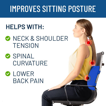 Everlasting Comfort The Original Lumbar Support Pillow - Improves Posture, Promotes Back Pain Relief - Superior Office Chair Back Support for Gaming and Desk Chairs - Lumbar Pillow for Car, Couch