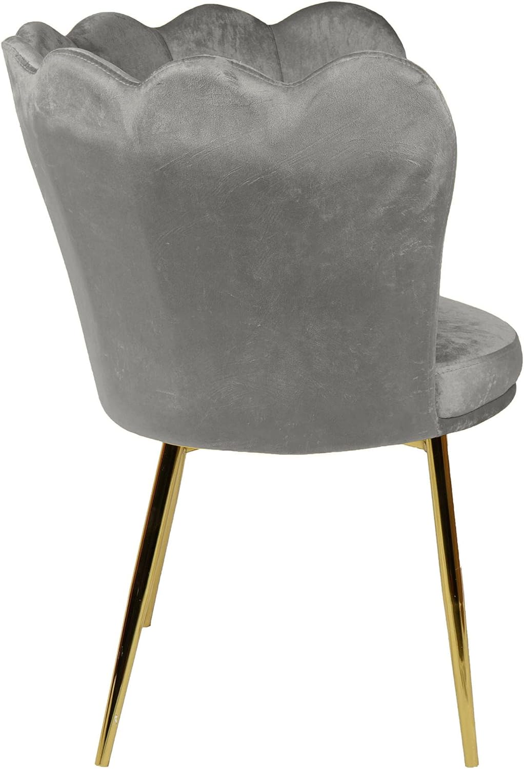 Angela - Flower Design Velvet Visitors Chair Living Room Chair (Beige)