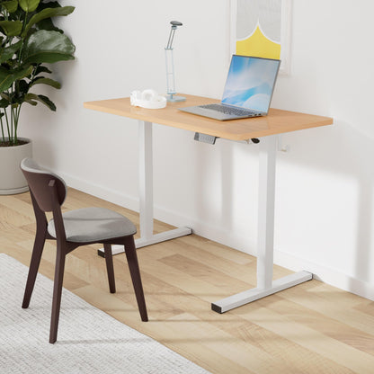 FLEXISPOT Standing Desk Electric Sit Stand Desk with 48 x 24 Inches Ergonomic Memory Controller Adjustable Height Desk with USB Charging Ports(White Frame + Honey Wheat Desktop)