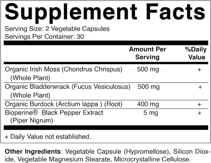 Vitamatic Irish Sea Moss Gummies - 3000 mg - 60 Vegan Gummies - Made with Bladderwrack & Burdock Root - Seamoss Supplement for Thyroid, Energy, Immune Support (60 Gummies (Pack of 1))