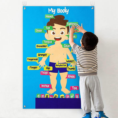 AM ANNA Educational Montessori Felt Body Sensory Learning Board, Body Parts Learning Felt Story Board Set,Children Interactive Toy Labeling Body Parts,Wall Hanging for Toddlers Kids