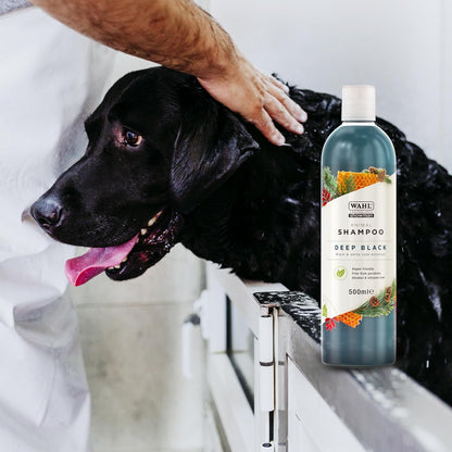 Wahl Mucky Puppy Shampoo, Dog Shampoo, Shampoo for Pets, Gentle Pet Friendly Formula, Sensitive Skin, Shampoo for Young Animals, Ready-to-Use, Remove Dirt.