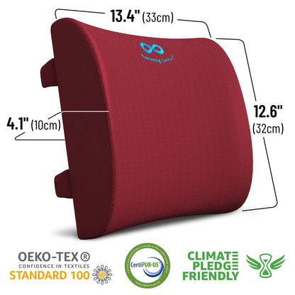 Everlasting Comfort The Original Lumbar Support Pillow - Improves Posture, Promotes Back Pain Relief - Superior Office Chair Back Support for Gaming and Desk Chairs - Lumbar Pillow for Car, Couch