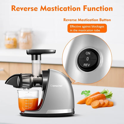 AMZCHEF Juicer Machines - Cold Press Slow Juicer - Masticating Juicer for Whole Fruits and Vegetables - Delicate Chew No Need to Filter - BPA Free Juice Extractor with 2 Cups and Brush - Grey