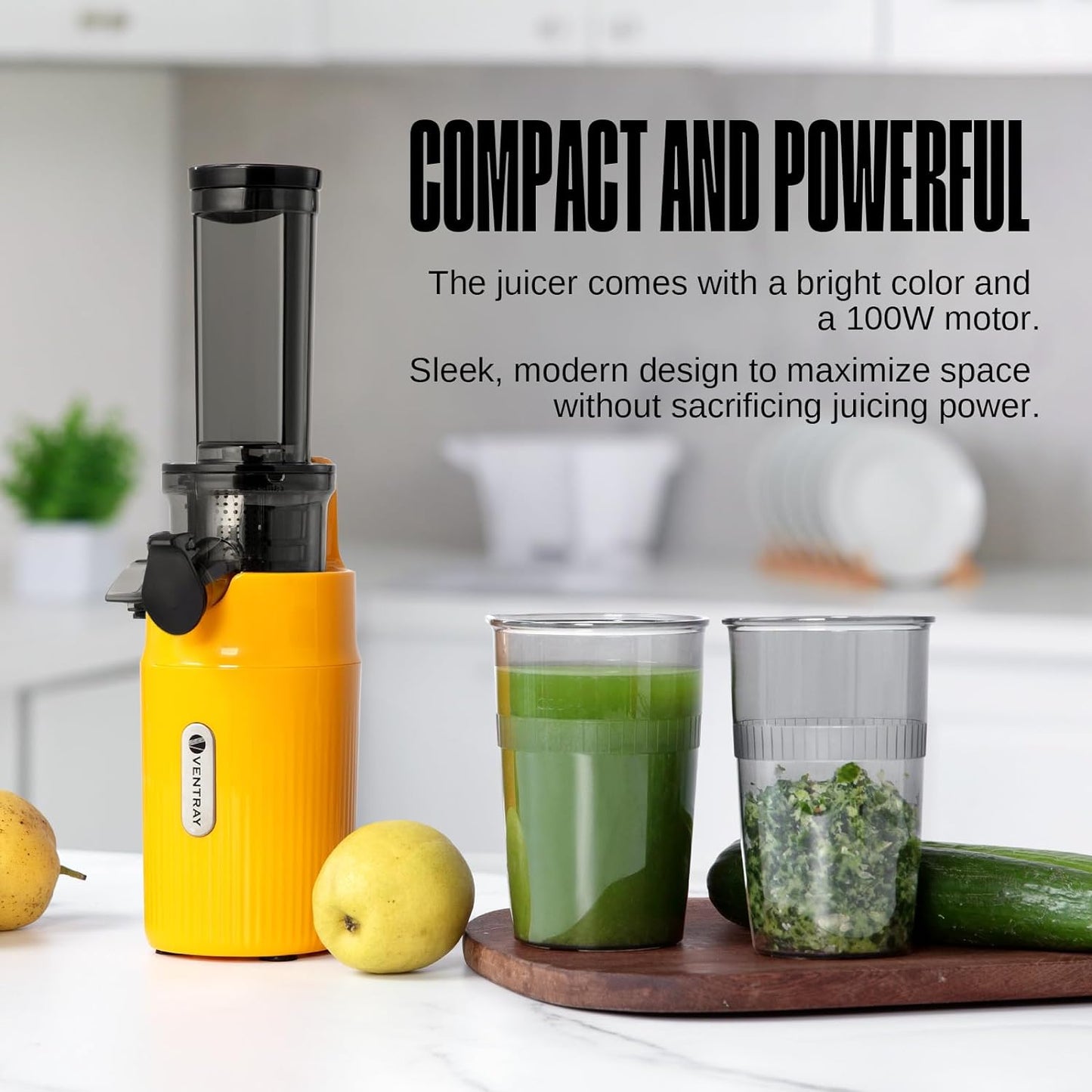 Ventray Ginnie Compact Small Cold Press Juicer, Slow Chew Juicer with 60 RPM Low Speed, Space Saving Juice Extractor, Easy to Clean, Nutrient Density