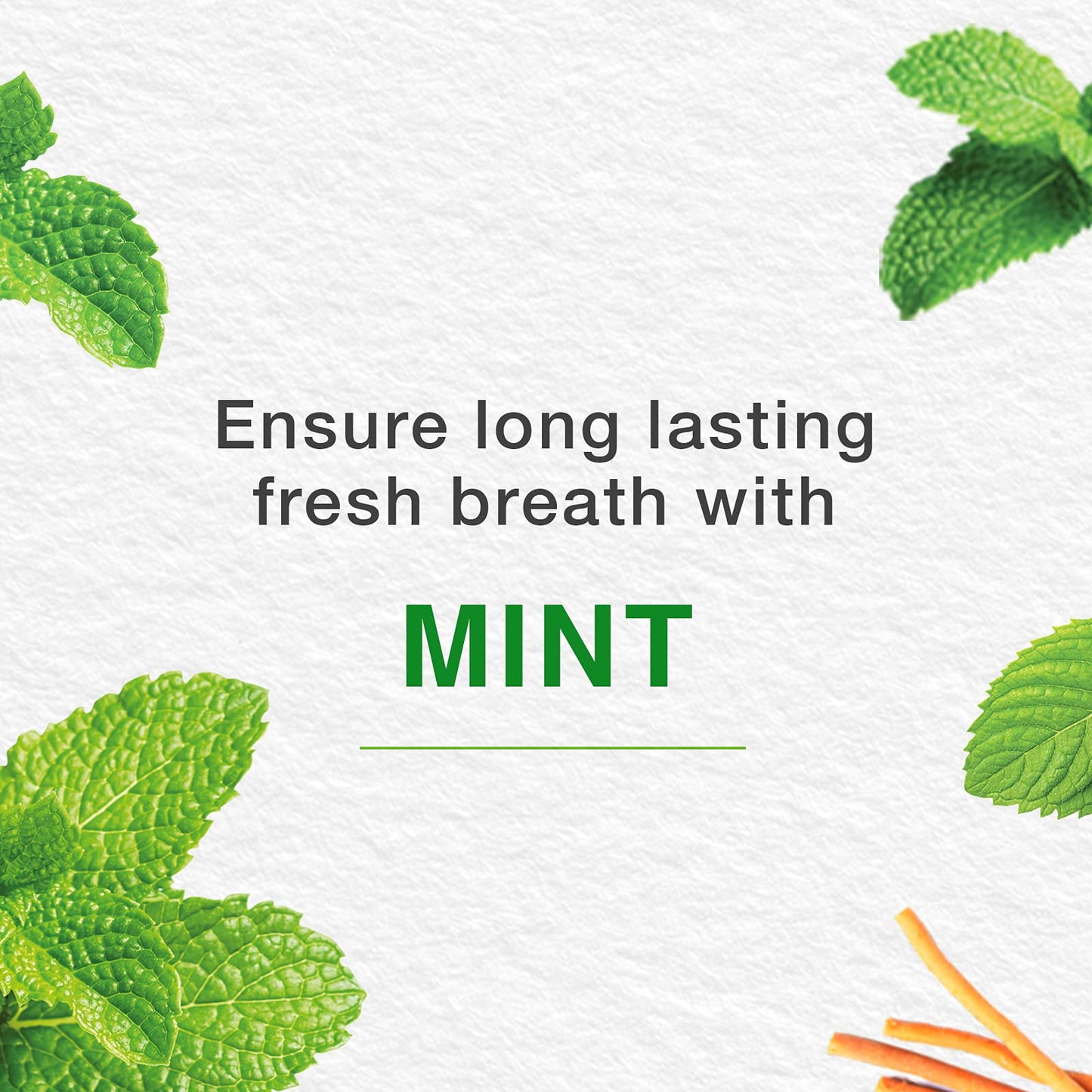 Himalaya Mint Fresh Herbal Toothpaste Prevent Mouth Odour & Ensure Long-Lasting Fresh Breath -3 X 100ml