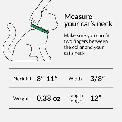 CollarDirect Leather Cat Collar with Elastic Safety Strap and Bell for Boy, Girl, Kitten (Neck Fit 9"-11", White)