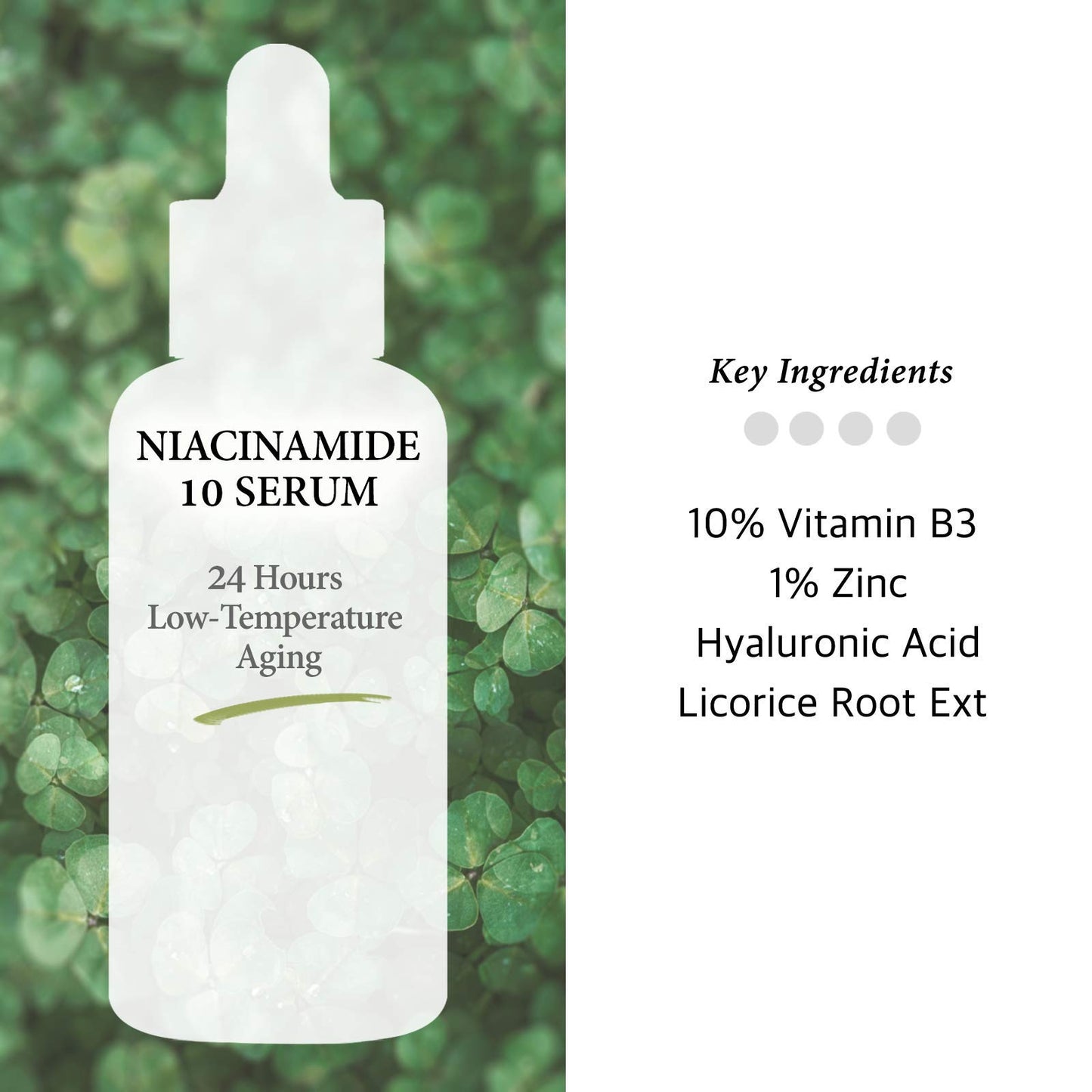 Niacinamide 10% + Zinc 1% Serum 1oz for Face - Korean Skin Care for Pore Minimizer + Vitamin B3.