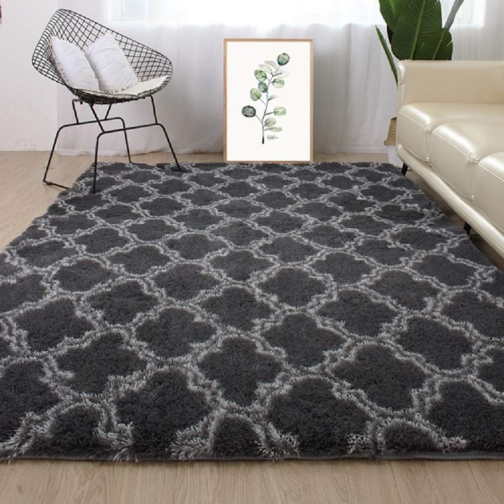 Tinyboy-hbq Area Rugs Shaggy Carpet for Living Room Bedroom Large Fluffy Carpet Modern Non-Slip Mat Multisize Rug Indoor Home Decor (Gray White, 80 x 120 cm)