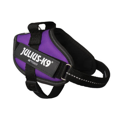 Julius-K9 Idc powerharness, size: s/mini, dark purple