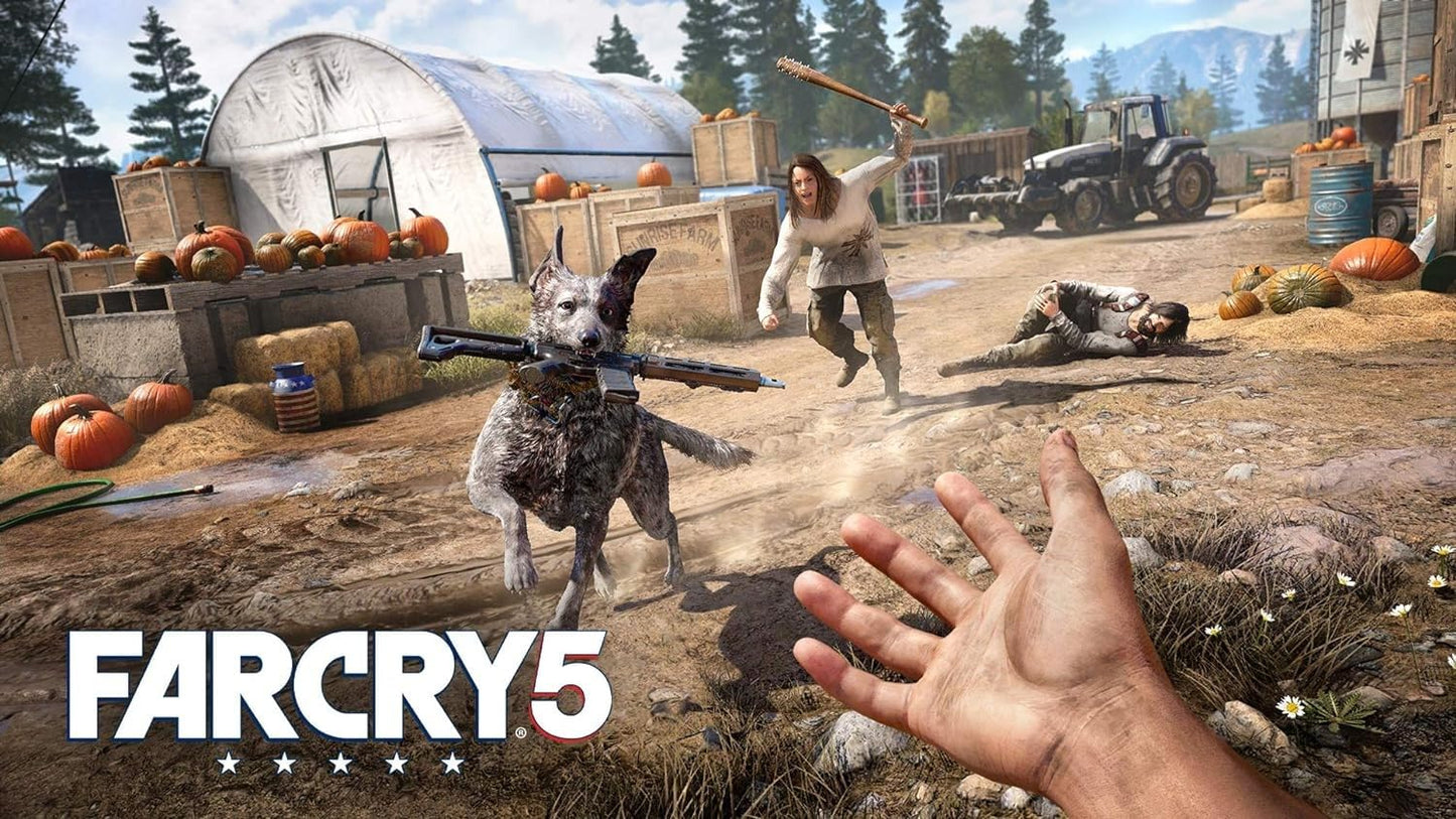 Far Cry 5 (PS4)