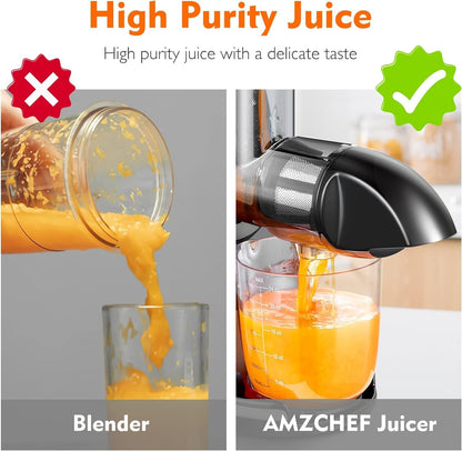 AMZCHEF Juicer Machines - Cold Press Slow Juicer - Masticating Juicer for Whole Fruits and Vegetables - Delicate Chew No Need to Filter - BPA Free Juice Extractor with 2 Cups and Brush - Grey