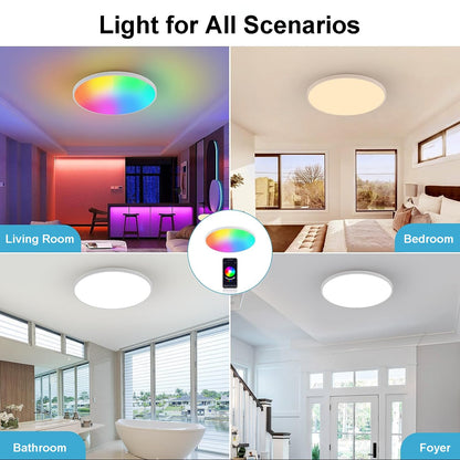 Redare Alexa Smart Ceiling Light,RGB Wifi Ceiling Light,30cm 24W Dimmable LED Flush Mount Ceiling Light Compatible with Alexa Google Home,Color Changing Ceiling Lamp for Bedroom,Kitchen (WiFi, White)