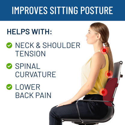 Everlasting Comfort The Original Lumbar Support Pillow - Improves Posture, Promotes Back Pain Relief - Superior Office Chair Back Support for Gaming and Desk Chairs - Lumbar Pillow for Car, Couch