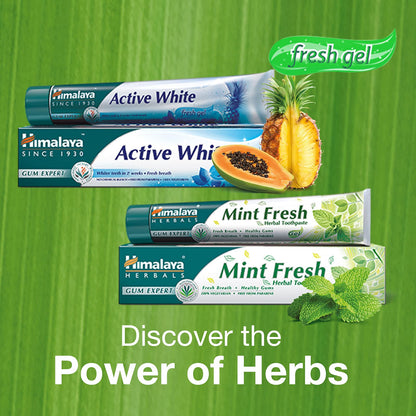 Himalaya Mint Fresh Herbal Toothpaste Prevent Mouth Odour & Ensure Long-Lasting Fresh Breath -3 X 100ml