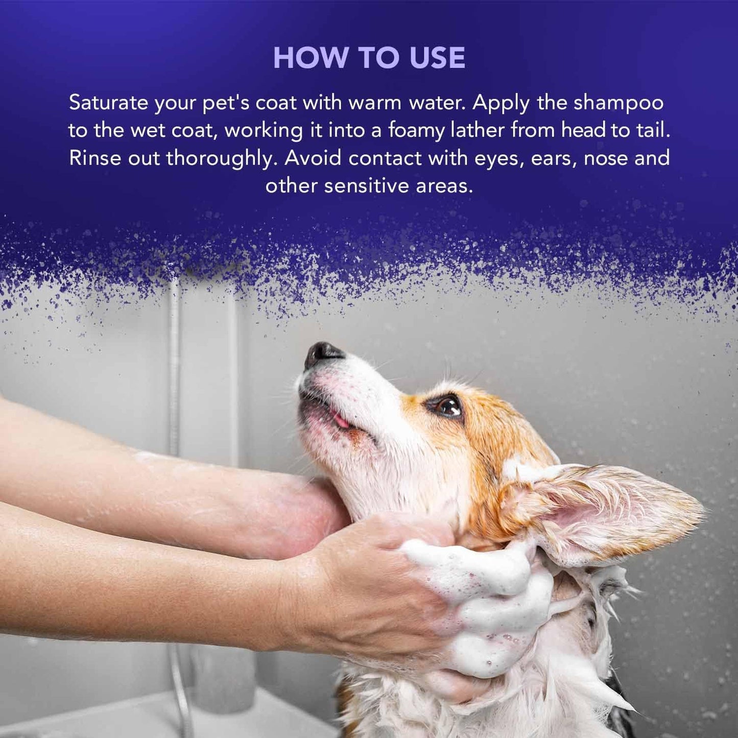 Wahl Mucky Puppy Shampoo, Dog Shampoo, Shampoo for Pets, Gentle Pet Friendly Formula, Sensitive Skin, Shampoo for Young Animals, Ready-to-Use, Remove Dirt.