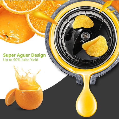 GZDZHP Slow Juicer Masticating Juicer Machine, Juicers for Fruit and Vegetable, Quiet Motor & Reverse Function, Cold Press Juicer Make Fresh Healthy Juice