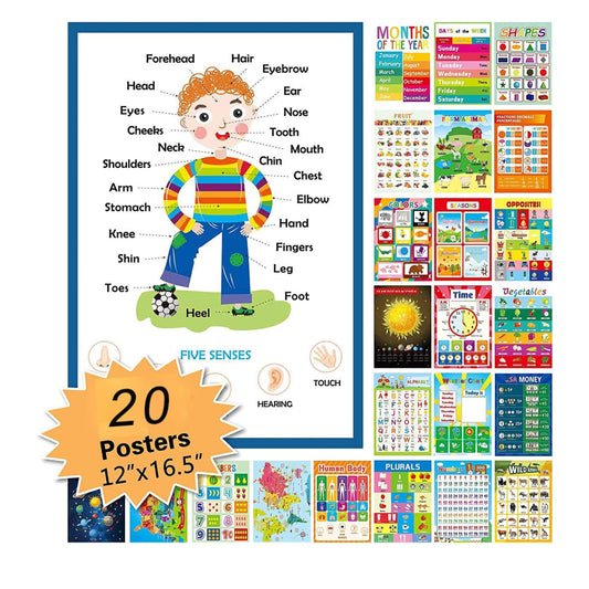 AM ANNA Educational Posters for Toddlers Preschool,20Pcs Learning Posters,Early Learning Chart for Wall Kindergarten Learning Posters(20 Pcs Learning Posters)