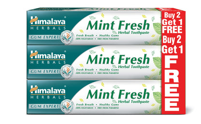 Himalaya Mint Fresh Herbal Toothpaste Prevent Mouth Odour & Ensure Long-Lasting Fresh Breath -3 X 100ml