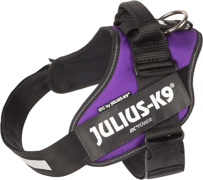 Julius-K9 Idc powerharness, size: s/mini, dark purple