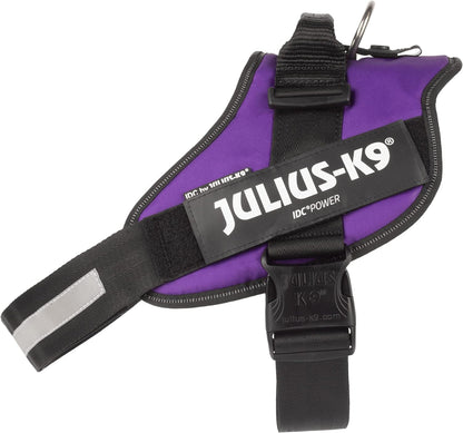 Julius-K9 Idc powerharness, size: s/mini, dark purple