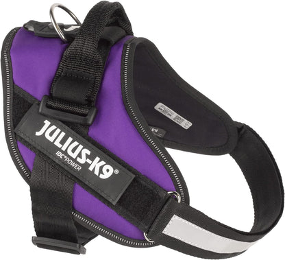 Julius-K9 Idc powerharness, size: s/mini, dark purple