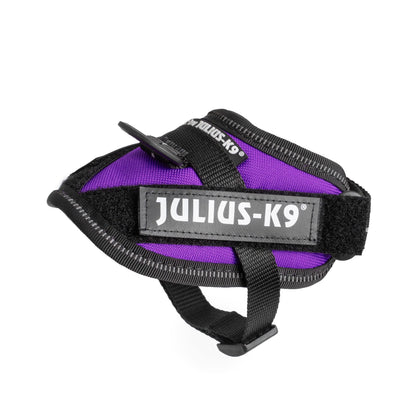 Julius-K9 Idc powerharness, size: s/mini, dark purple