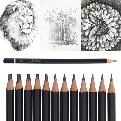 Professional Drawing Sketching Pencil Set - 12 Pack Art Drawing Sketch Pencils, Graphite Pencils(14B - 4H), Ideal for Drawing, Art Pencils for Drawing and Shading, Back to School Supplies