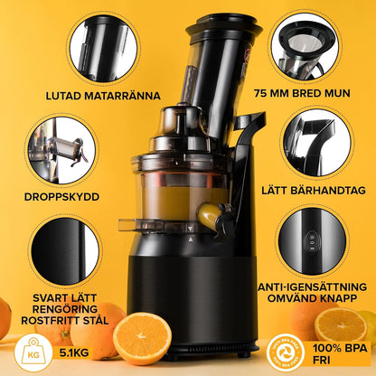 FRIDJA Powerful Masticating Juicer for Whole Fruits and Vegetables, Fresh Healthy Juice, Sorbet, Ice Cream, Wide Mouth 75mm Feeding Chute, BPA Free, 240-Watt, Cold Press, Black Stainless Steel f1900