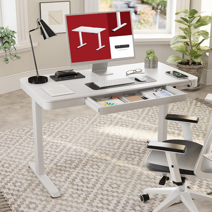 FLEXISPOT Electric Height Adjustable Standing Desk with Drawer 48 x 24 Inches Natural Desktop & Adjustable White Frame Quick Install Computer Workstation (USB Charge Ports, Memory Controller)